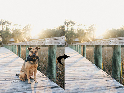 Professional Remove object Photo In Photoshop Service
