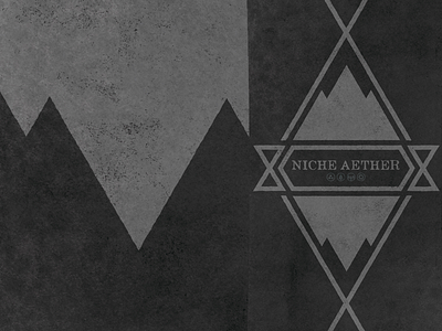 Niche Aether 2014/15 greyscale niche snowboard snowboarding texture