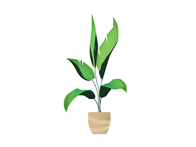 Plant