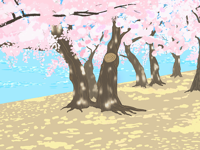 Cherry blossom cherry blossom flowers illustration pink sakura