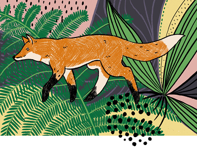 Pencil Style Fox Illustration