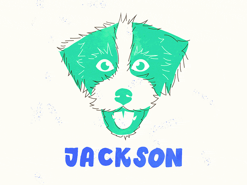 Action Jackson by Parker McCullough on Dribbble