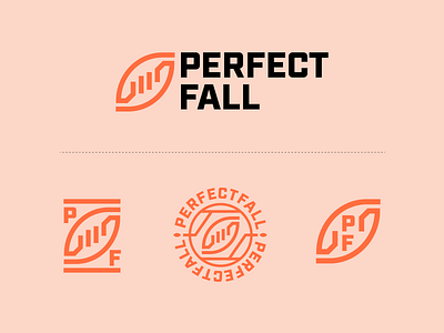 PerfectFall Visual Identity branding geometric logo sports