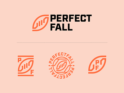 PerfectFall Visual Identity