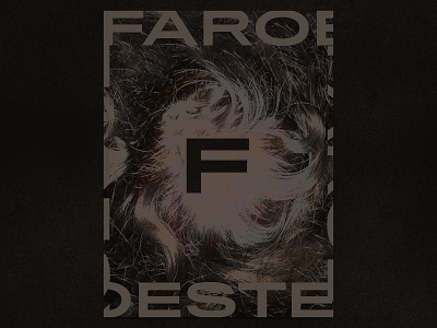 Poster for Faroeste