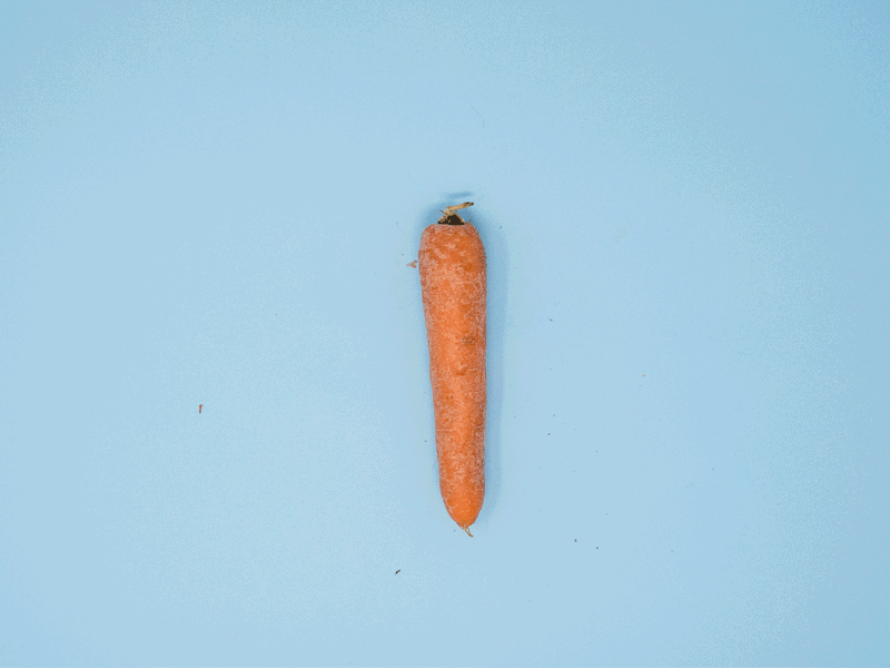 Carrot Loader 2018 activemedia hortas da cortesia