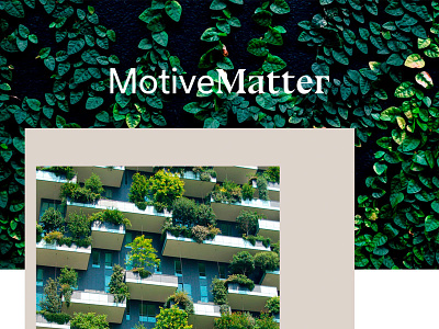 MotiveMatter 2019 activemedia brand identity branding logo typography