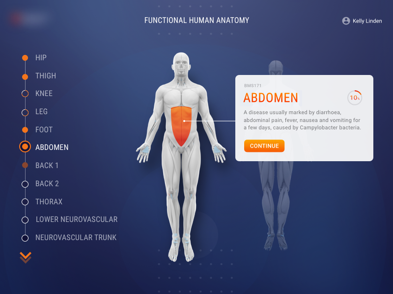 Human Anatomy by Raza on Dribbble