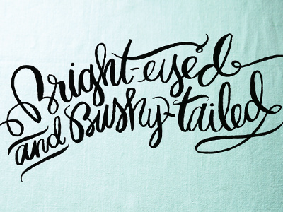 Bright Eyed brush hand drawn handlettering lettering script type typography