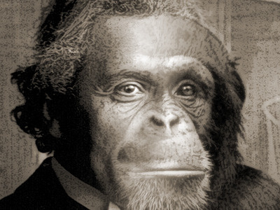 Chimpmanzee art chimpanzee illustration man monkey portrait