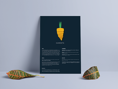 Vegetable posters design food illustration poster print