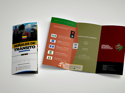 Bussines Trifold Design graphic design