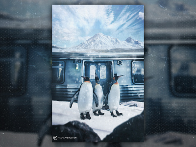 Migratory penguins - Photomontage