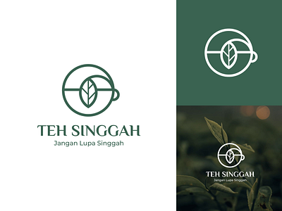 TEH SINGGAH brand brandidentity branding logo logoawesom logoconcept logodaily study studylogo tealogo tealogoideas