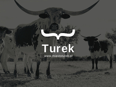 Logo conception for city of Turek cow cow head logo logo design logotype parenthesis poland