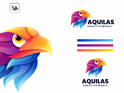 Aquilas 3d animation branding design graphic design illustration logo motion graphics vector