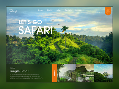 Safari Travel Website design minimal ui ux web website
