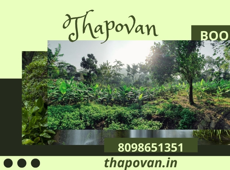 Best resorts in Kodaikanal for honeymoon by tech babu on Dribbble