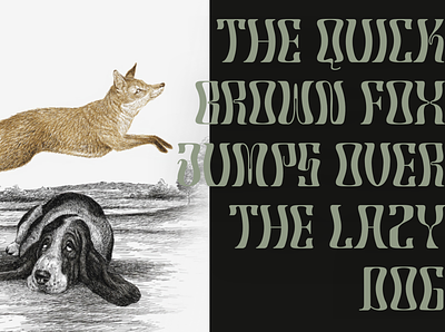 The quick brown fox jumps over the lazy dog alphabet animal branding design dog fox graphic lazy dog panagram quick brown fox type typography
