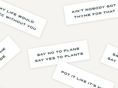 Say no to plans. Say yes to plants branding design fortune plant lady plant pun plants puns succulent type typography