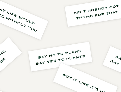 Say no to plans. Say yes to plants branding design fortune plant lady plant pun plants puns succulent type typography