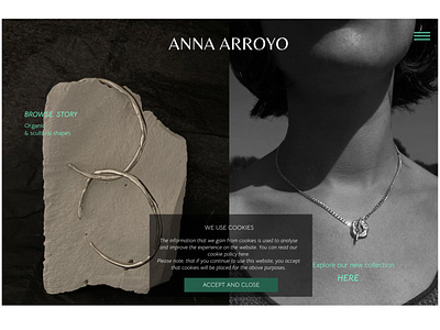 Homepage design for AA online shop