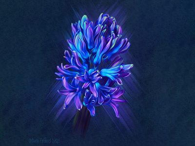 Hyacinth botanical digital painting drawing flower hyacinth illustration ipad painting procreate