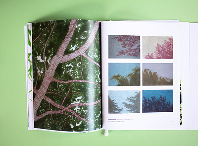 The book of trees #3 design editorial design editorial illustration graphic design illustration layout typography