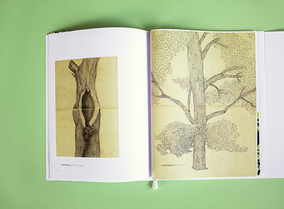 The book of trees #4 design editorial design editorial illustration graphic design illustration layout typography