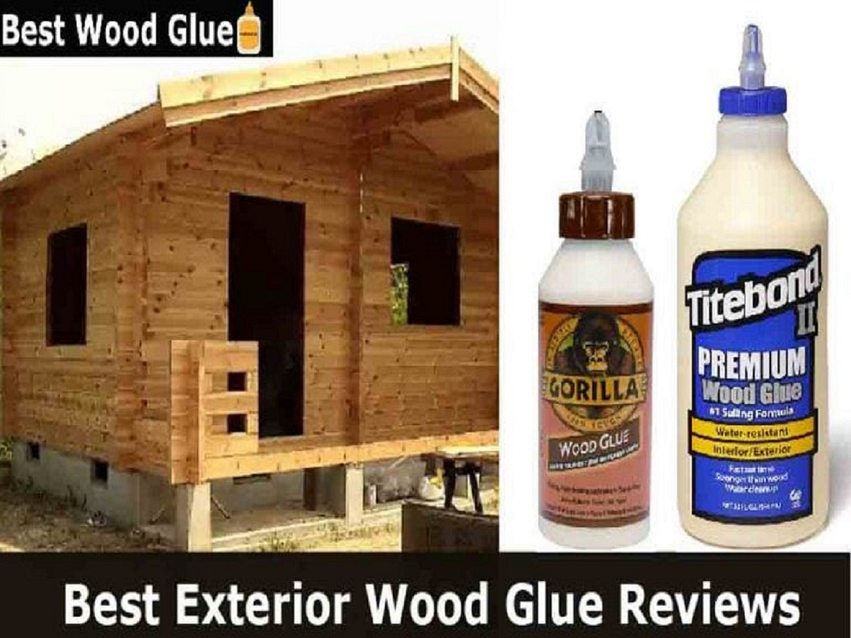 Best Wood Glue Dribbble