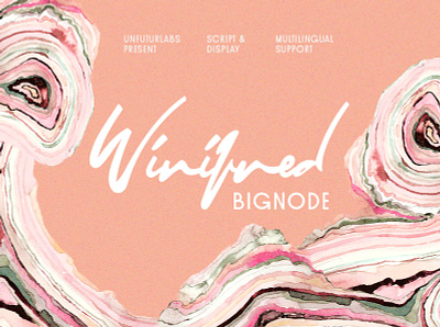 Winifred and Bignode branding design display font editorial design font font bundle font collection graphic lettering signature font typography