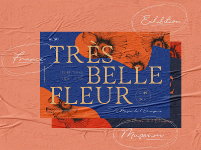 Très Belle Fleur brand branding design display font editorial design font font bundle font collection graphic illustration lettering poster script typography