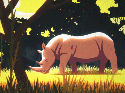 African Wildlife africa animal animation bird gorilla rhino rhinoceros