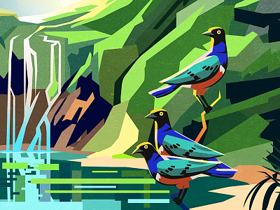 Superb Starlings bird conservation illustration nature starling waterfall