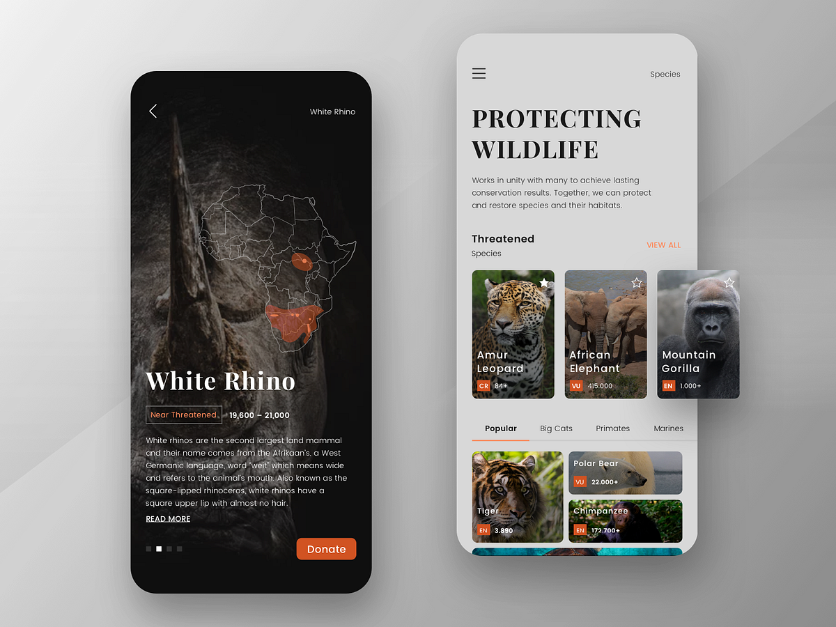 wildlife-app-concept-by-wahyudi-kurniawan-on-dribbble