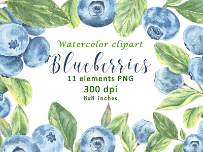 Watercolor Blueberrie Leaves Clipart PNG