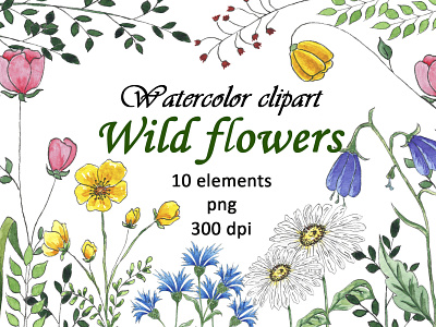 Watercolor Wild Flowers Clipart PNG blue botanical style clipart design floral flowers graphic design grass green illustration leaves logo png red spring summer wald flowers watercolor wedding wild