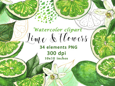 Watercolor Lime Fruit Flower Clipart PNG branding citrus clipart design flowers gold graphic design green illustration leaves lime logo summer watercolor