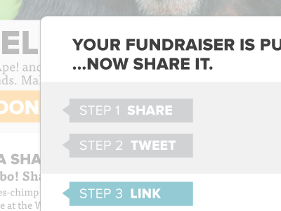 Fundraise Share Interface