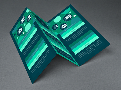 Tri-fold Brochure Inside Terra Aqua Design
