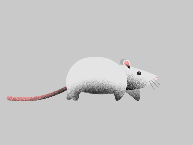 Mouse rig 2d after effects animation character character design characterdesign flat gif grain illustration motiongraphics mouse rig rigging texture walkcycle walking