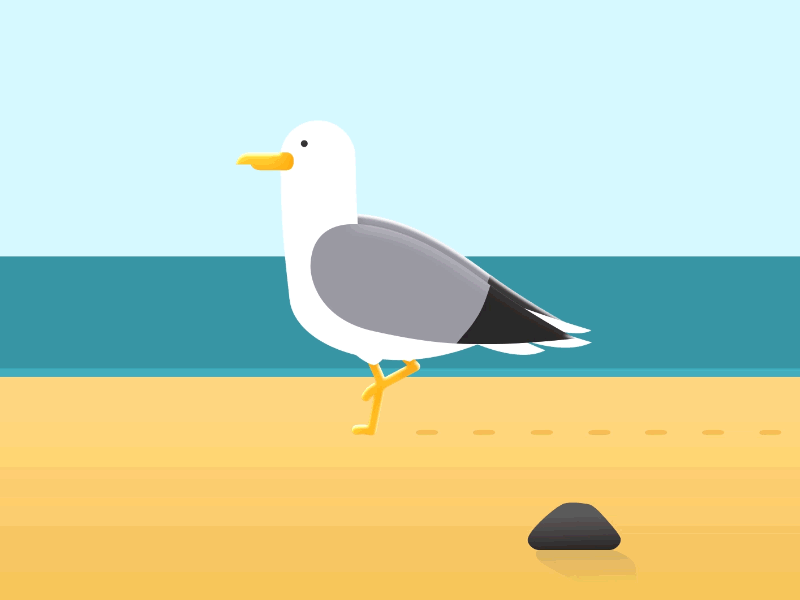 Seagull rig