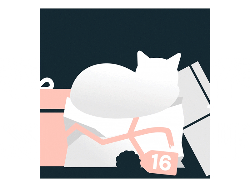 16th. Cat. 2022 Advent calendar 2d advent after effects animation bow branding cat character christmas design gif graphic design illustration motion graphics present xmas