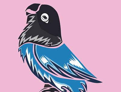 Birds Tracing 3d animation graphic design logo motion graphics ui