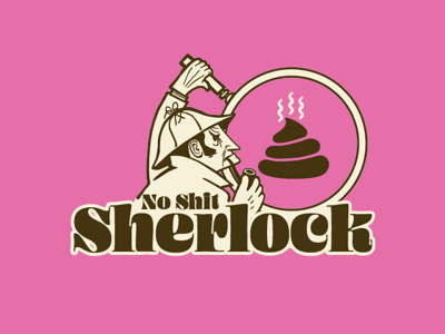 No Shit Sherlock phrase typography vector