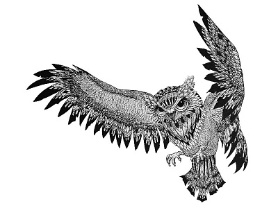 Owl Illustration animal drawing illustration ink new owl tattoo