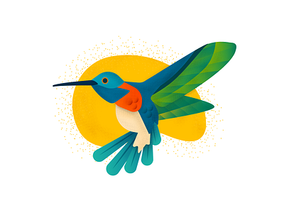 Hummingbird Illustration art bird clean colorscheme design google hummingbird illustration illustrator ui