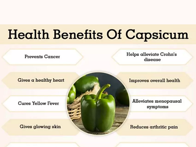 Reasons Why You Should Add Capsicum! branding canva graphic design photoshop ux