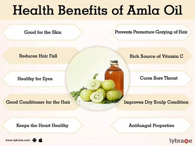 Health Benefits of Amla Oil adobe canva design graphic design illustration ui vector