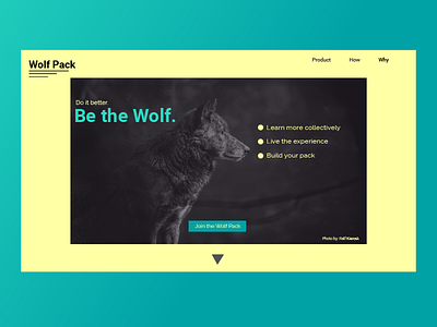 DailyUI #003 Landing Page (Wolf Pack) adventure daily ui dailyui dailyui003 landing page productdesign ui ux web design wild wolf wolf pack